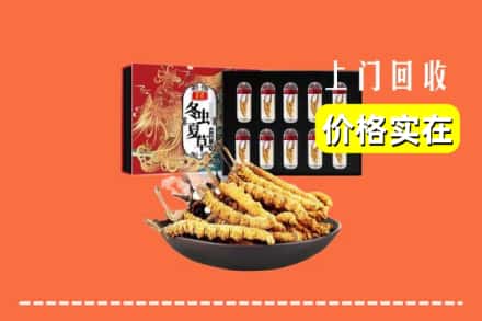 弋阳县回收冬虫夏草